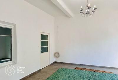 Casa P+M, Aradul Nou, pretabila pentru spatiu comercial sau locuinta - 3