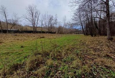 Resita, Teren Drept Intravilan, Langa Prau si Drum, Parcelabil, 4500 Mp., 15 Eur - 6