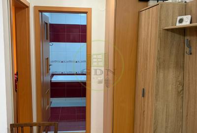 Apartament 2 camere de inchiriat-Zona Doamna Stanca - 5