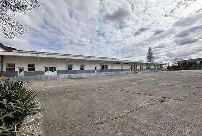 Hale/ spatii de inchiriat in jud. Iasi, Pascani, de la 500mp la 5000mp - 14