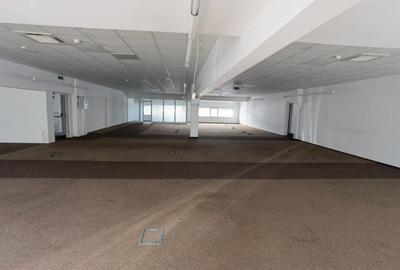 Spatii birouri/servicii - 22