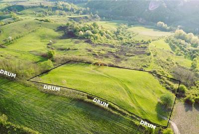Teren de 9.500 mp in Maramures | Varf de deal, priveliste de pus in rama | Retre - 4