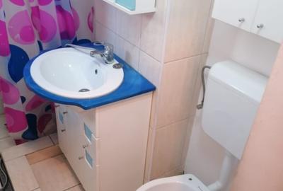 Apartament 4 camere vizavi de Parcul Plumbuita - 5