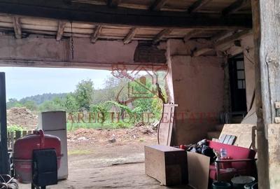 Casa spatioasa | 1500 mp teren - Ticvaniu Mare CS - 7