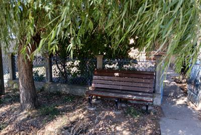 Casa cu teren mare in Bolintin Deal - 1