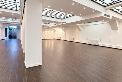 Spațiu comercial, de 339 mp, în Clucerului