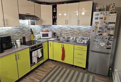 Vila spatioasa, hale si teren total 1700 mp, Calea Surii Mici, Sibiu - 8