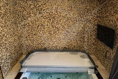 Vila superba in Andrei Muresanu, dotari de lux, piscina si SPA, 865 mp teren ! - 42