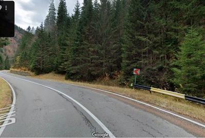 TEREN EXTRAVILAN PADURE PISCUL NEGRU ARGES - 1