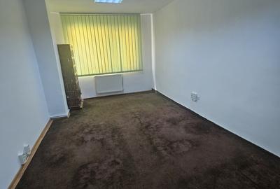 Ocazie! Casa individuala 400 mp utili, pentru locuit, birou sau hostel, Gruia! - 8