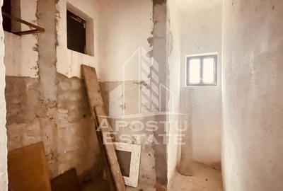 Casa “la gri” cu gradina, zona Calea Aurel Vlaicu - Bujac - 23