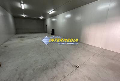 HALA DE INCHIRIAT I 2100 MP I ALBA IULIA I ZONA CENTRU I - 16
