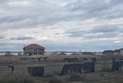 Anunturi vanzari terenuri in Palazu Mare - 5