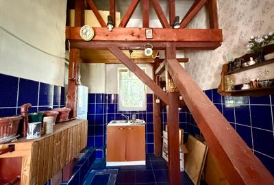 Domenii, str. Caraiman - 24