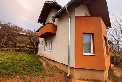 Casa Individuala Valea Jalnei 550mp teren - 10