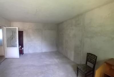Casa Moreni 270 mp jud. Neamt - 10