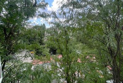 Apartament 2 camere Basarabia-Piata Muncii, 50mp, et 4, vedere spate catre parc - 32