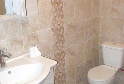 Casa singur in curte de inchiriat in zona Stefan cel Mare - 6
