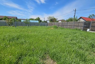 DUMBRAVA - 1219 mp Teren ideal casă – asfalt, utilități - 2