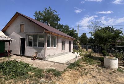 Casa de vacanta - Munteni Buzau - Jutetul Ialomita - Curte 2000mp - 1