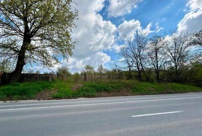 Teren intravilan Bucium Iași – plan doi, 55 ml deschidere, drum privat 7 m - 3