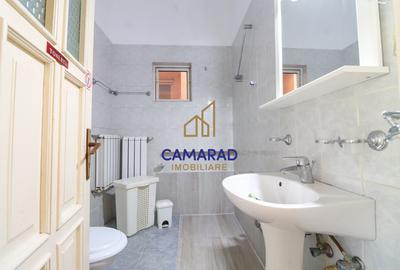 Vila de închiriat - Rezidențial/Birouri/Comercial -curte proprie - Tei - Lizeanu - 10