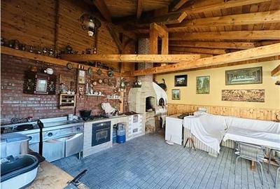 Vilă exclusivista in Cisnădie - oază de liniște și aer - 13