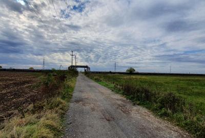 PLOIESTI zona de Centura - intravilan industrial 23500 mp la 7 eu/mp - 7