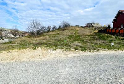 Teren intravilan de vânzare – Oradea, zona Dealuri - 1