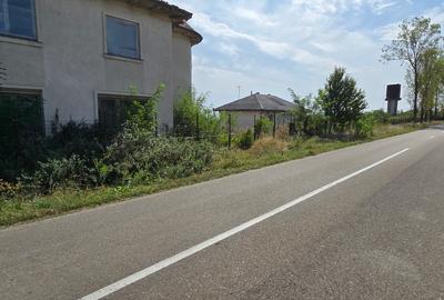 Constructii la strada in Cucorani pe 1 ha de teren - 4