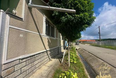 Casa cu anexe si teren de 959 mp de vanzare in Tinca - Bihor - 44