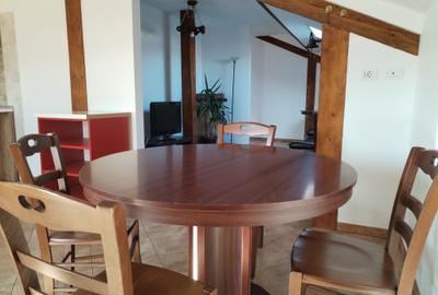 Duplex cu teren 1000 m.p. - Drumul Muntenilor - 18