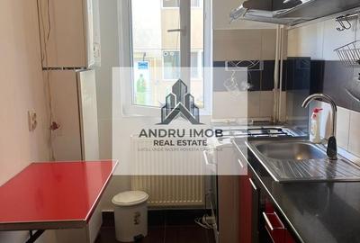 Apartament 2 camere/ Parc Laurentiu Raiciu/ Drumul Fermei - 9