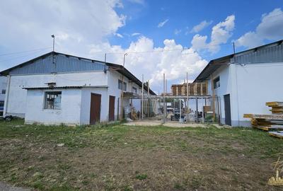 Proprietate industriala renovata | 2 hale de vanzare in zona Seleus - 13