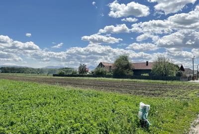 Teren intravilan Zona Metropolitana Brasov - 7