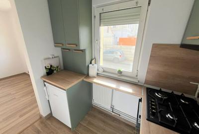 GARSONIERA RENOVATA VIS-A-VIS DE PARCUL SUB ARINI - 1