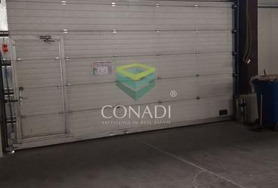 Hala Otopeni zona pasaj DNCB  Lukoil BMW - 4