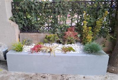 Apartament 5 Camere - Vila Interbelică - Dorobanti - 17