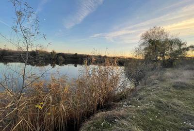 TEREN lac Caldarusani - 11