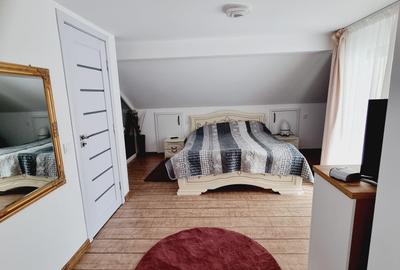 Vila P+E+M de vanzare in Busteni, comision 0% - 9