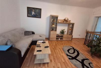 Casa formata din 2 apartamente pivnita zona Turnisor - 13