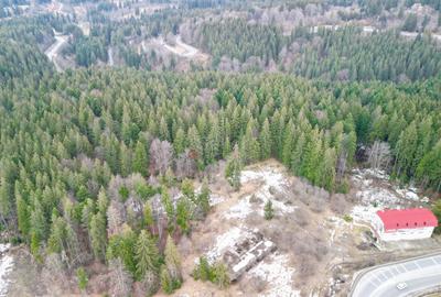 Teren Intravilan - Pretabil Investitie - 6