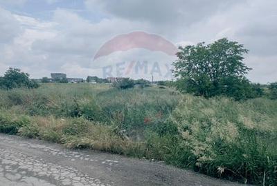 1.134 mp cu front 39,4 ml - Briera Valcii- Intrare din Centura de Nord - 2
