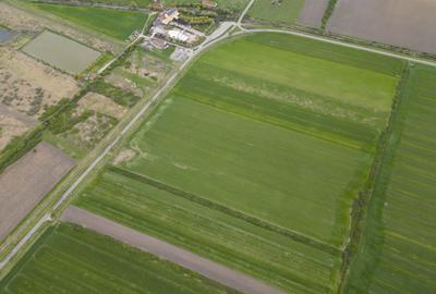 Teren extravilan de 22500mp Zona Ineu - 10