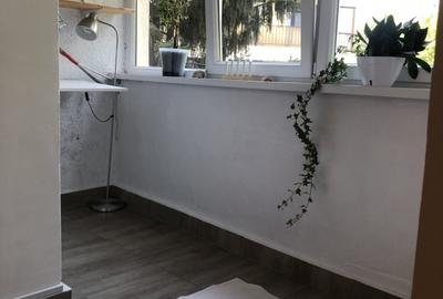 Vatra Luminoasa, Maior Coravu, Muncii, Direct proprietar - 11