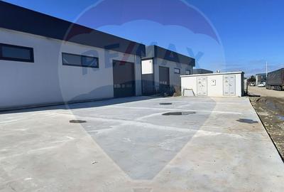 Hale noi de inchiriat Domnesti - putere instalata pana la 600kva - 9