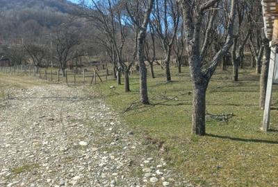 Vind teren intravilan in com .Corbi  sat Poinarei  jud.Arges, - 8