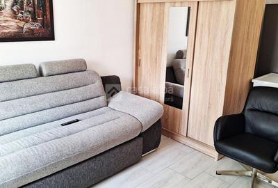 Bucium, apartament 1 camera cu terasa si garaj, la casa - 1