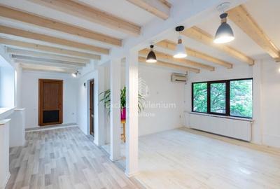 Vila renovata Birouri Romana - Dorobanti -Caderea  Bastiliei - 12