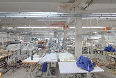 De vanzare spatiu industrial in Turnu Magurele - Teleorman - 44